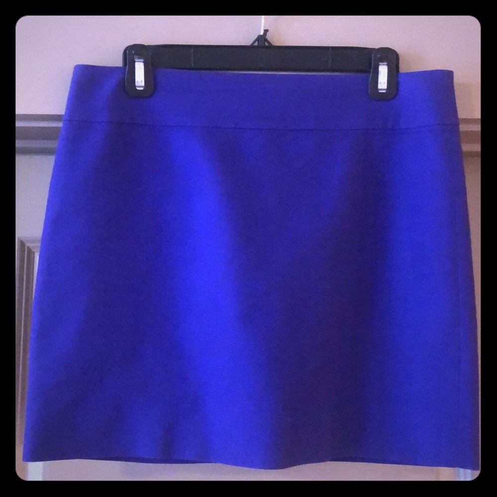 JCrew Skirt